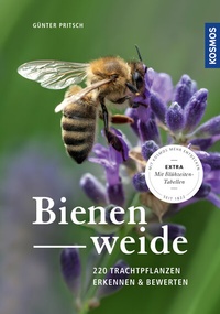 Abbildung von: Bienenweide - Kosmos