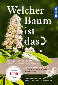 Abbildung von: Welcher Baum ist das? - Kosmos