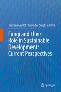 Cover: Fungi and their Role in Sustainable Development: Current Perspectives - Springer