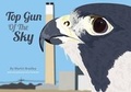 Cover: Top Gun of the Sky - Ceratopia Books