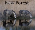 Cover: The Commoners' New Forest - Tile Barn Farm