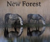Enlarge image Cover: The Commoners' New Forest - Tile Barn Farm