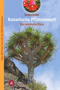 Abbildung von: Kanarische Pflanzenwelt - Zech Verlag