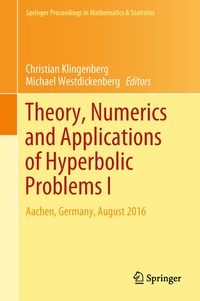 Abbildung von: Theory, Numerics and Applications of Hyperbolic Problems I - Springer