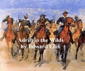 Cover: Adrift in the Wilds, Or the Adventures of Two Shipwrecked Boys - Seltzer Books