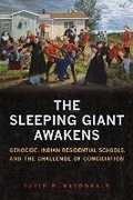 Cover: The Sleeping Giant Awakens - University of Toronto Press