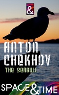 Cover: The Seagull - Dead Dodo Russian Classics