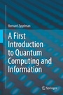 Cover: A First Introduction to Quantum Computing and Information - Springer