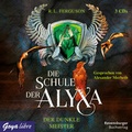 Cover: Die Schule der Alyxa. Der Dunkle Meister - Jumbo
