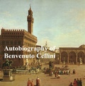 Cover: The Autobiography of Benvenuto Cellini - Seltzer Books