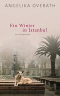 Cover: Ein Winter in Istanbul - Luchterhand Literaturverlag