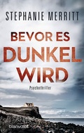 Cover: Bevor es dunkel wird - Blanvalet