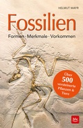 Cover: Fossilien - BLV