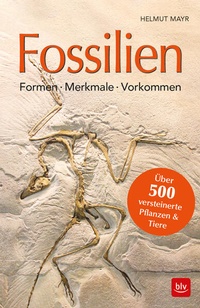 Enlarge image Cover: Fossilien - BLV
