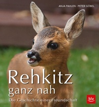 Enlarge image Cover: Rehkitz ganz nah - BLV