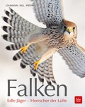 Cover: Falken - BLV