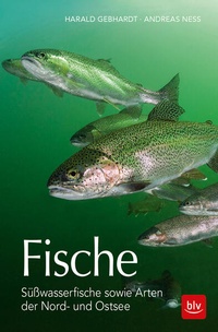 Enlarge image Cover: Fische - BLV