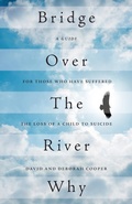 Cover: Bridge Over The River Why - FriesenPress