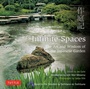 Cover: Infinite Spaces - Tuttle Publishing