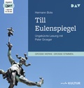 Cover: Till Eulenspiegel. Ein kurzweiliges Buch von Till Eulenspiegel aus dem Lande Braunschweig in 96 Historien - Der Audio Verlag