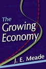 Cover: The Growing Economy - Routledge
