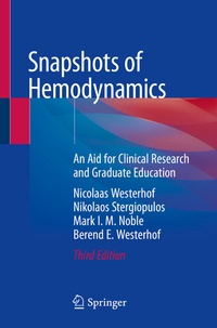 Abbildung von: Snapshots of Hemodynamics - Springer