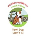 Cover: Dewi Dog / Dewi'r Ci - Clumsy Rabbit Books