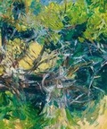 Cover: A Long View - Art Space Gallery
