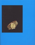 Cover: Mathias Poledna: Substance - Renaissance Society at the University of Chicago