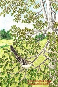 Cover: A mockingbird sings - Lulu.com