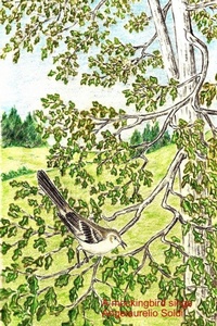 Enlarge image Cover: A mockingbird sings - Lulu.com