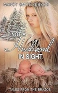 Cover: Not a Husband in Sight - Soul Mate Publishing