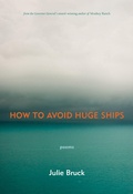 Cover: How to Avoid Huge Ships - Brick Books