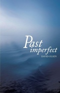Cover: Past Imperfect - Cinnamon Press