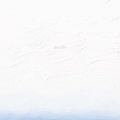 Cover: Joan Watts - bodhi - Radius Books