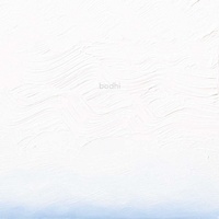 Enlarge image Cover: Joan Watts - bodhi - Radius Books