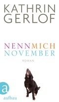 Cover: Nenn mich November - Aufbau