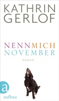 Cover: Nenn mich November - Aufbau