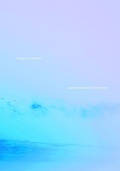 Cover: Caleb Cain Marcus: A Brief Movement After Death - Damiani