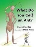 Cover: What Do You Call An Ant - Mary L. Mueller Books LLC