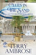 Cover: Clues in the Sand - Satori