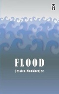 Cover: Flood - Cultured Llama
