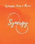 Cover: The Seven Minute Synergy Workbook - Myisha T Hill