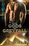 Cover: The Gods of Greyfall Collection - A.J. Norris