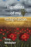 Cover: Figments of my Imagination - New Generation Publishing