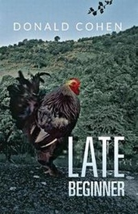 Enlarge image Cover: Late Beginner - Access Media Group