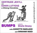 Cover: Bumps - Gardens and People