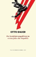 Cover: Die Sozialisierungsaktion im ersten Jahre der Republik - Thomas Gimesi