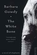 Cover: The White Bone - Flamingo