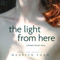 Cover: The Light From Here - Owl's Perch Press